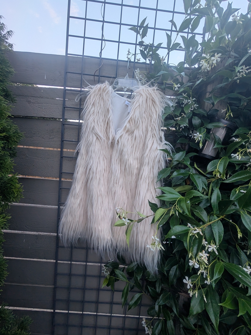 Say What? Cream Faux Fur Sleeveless Jacket